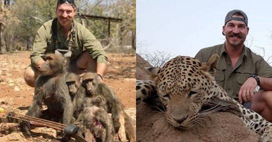 I shot the entire Baboons Family: Trophy Hunting Wildlife Official Faces Pressure To Resign