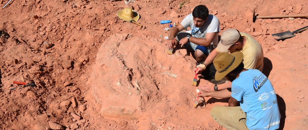 Mom's Phone Call Helps Uncover Oldest Long-Necked Dinosaur on Record