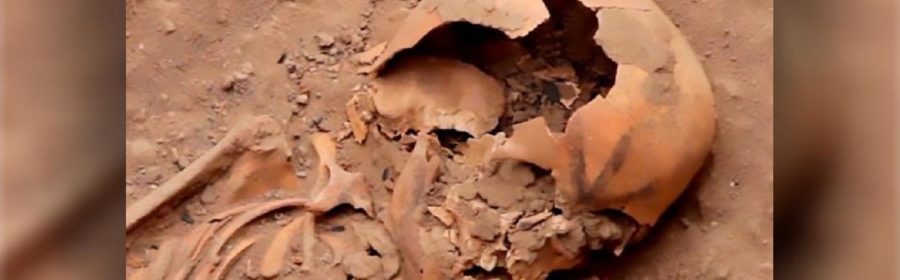 Eleven skeletons found in 1,000-year-old Moche grave in Peru include people with mutilated feet, stained skulls and 'a religious leader buried in a roofed chamber'