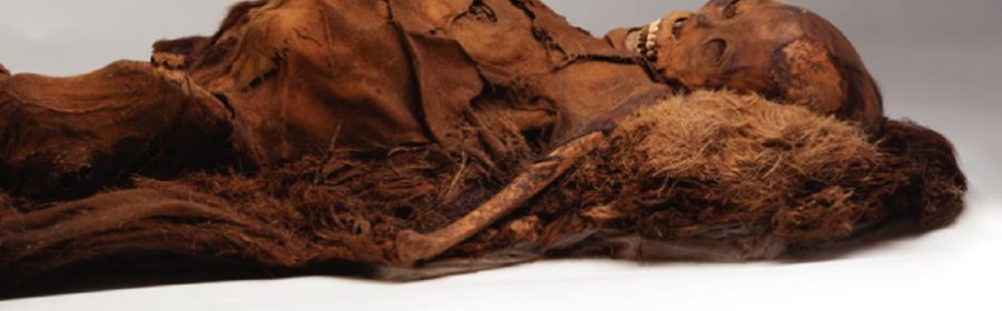 Inuit Mummies Had Clogged Arteries Despite High Omega-3s
