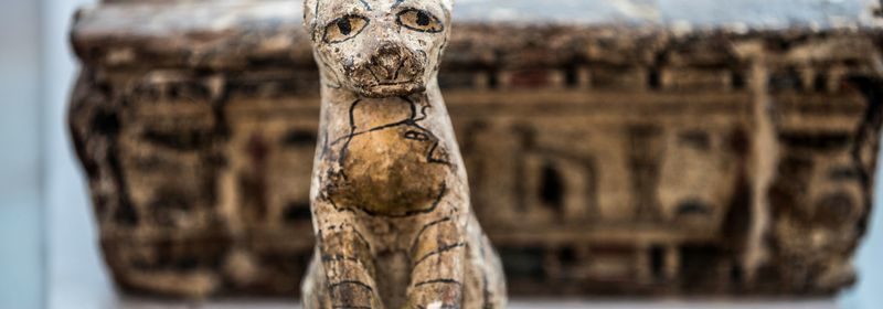 Archaeologists Reveal Rare Mummified Lion Cubs Unearthed in Egypt