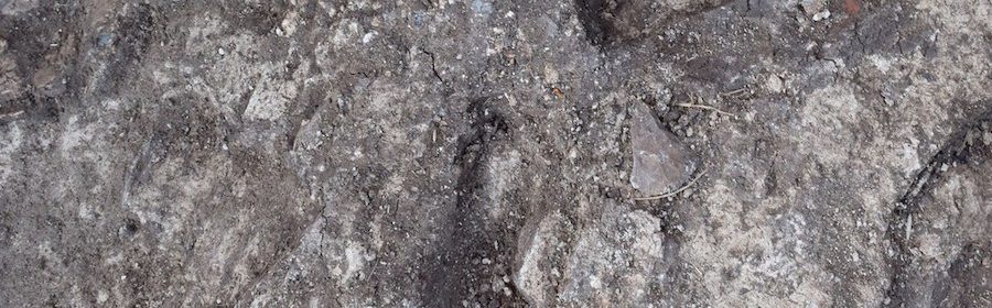 3,000-Year-Old Child Footprints Found at Site of Ancient Egyptian Palace