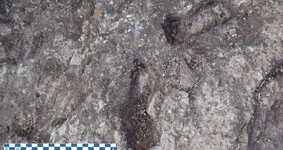 3,000-Year-Old Child Footprints Found at Site of Ancient Egyptian Palace