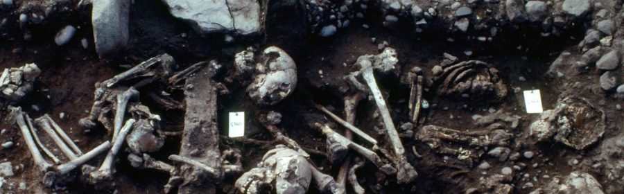 Mass grave of Viking army contained slaughtered children to help dead reach afterlife, experts believe