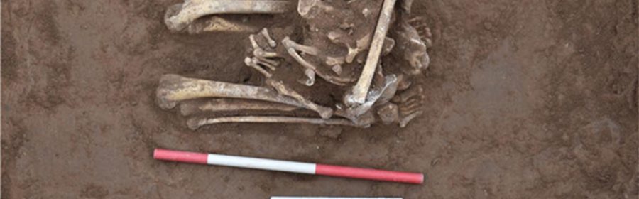 Kneeling Decapitated Skeleton was Ancient Chinese Sacrifice Victim