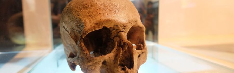 Early Humans Probably Didn't Evolve from a Single Population in Africa