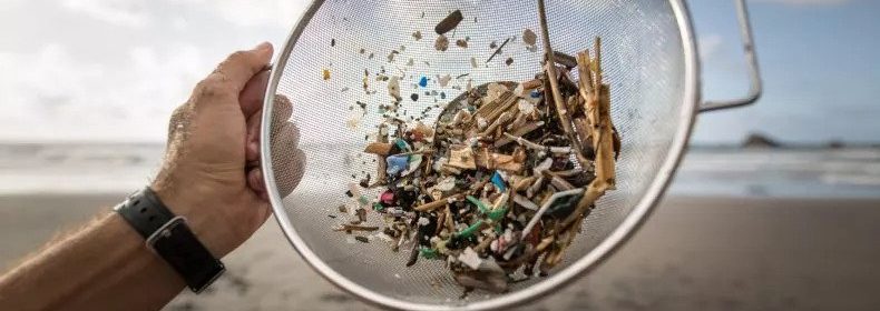 SCIENTISTS IDENTIFY 1.9 MILLION PIECES OF MICROPLASTIC IN SQUARE METER OF OCEAN FLOOR