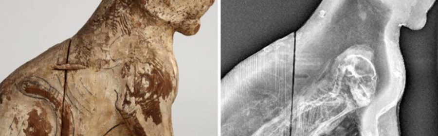 70 Million Mummified Animals in Egypt Reveal Dark Secret of Ancient Mummy Industry