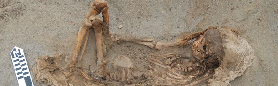 Mass Sacrifice Of Children And Llamas In Ancient Peru Reflects Trauma Over Climate Change
