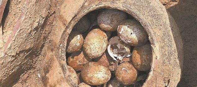 Archaeologists Discover Eggs In 2,500-Year-Old Tomb In East China