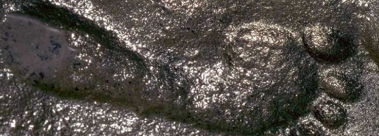 The 290 Million Year Old Fossil Human Footprint – REALLY!?!?