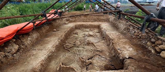 Remains of horses from 2,700 years ago found in Chinese family tomb