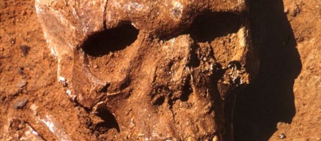 Saharan remains may be evidence of first race war, 13,000 years ago