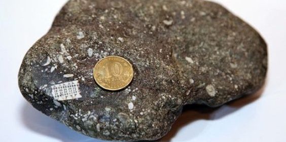 250 million year old microchip found in Russia?