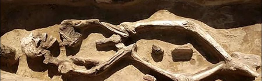 Siberia: Ancient grave reveals 'dancing' skeleton tied up after death in ritual burial
