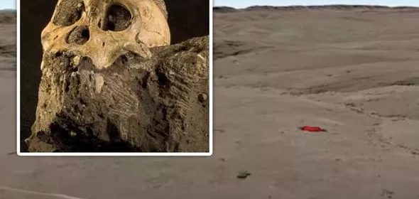 Incredible two-million-year-old ‘human ancestor’ discovery on Google Earth revealed