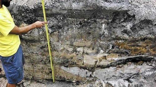 A 2,000-Year-Old Human Skeleton Was Just Unearthed In South Florida