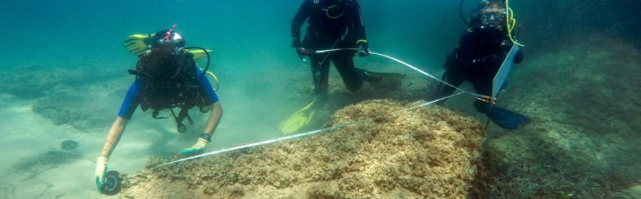 Vast underwater Roman ruins were found at northeastern Tunisia, apparently confirming a theory that the city of Neapolis was partly submerged by a tsunami in the 4th century AD.