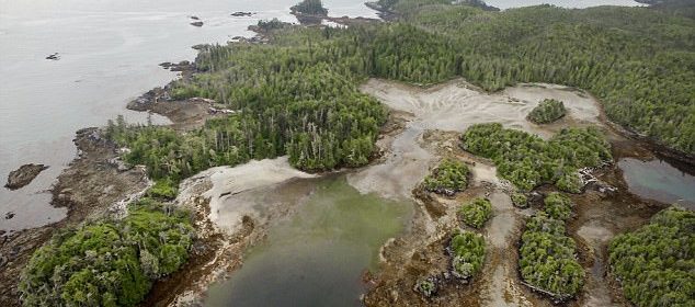 A student found an ancient Canadian village that’s 10,000 years older than the Pyramids