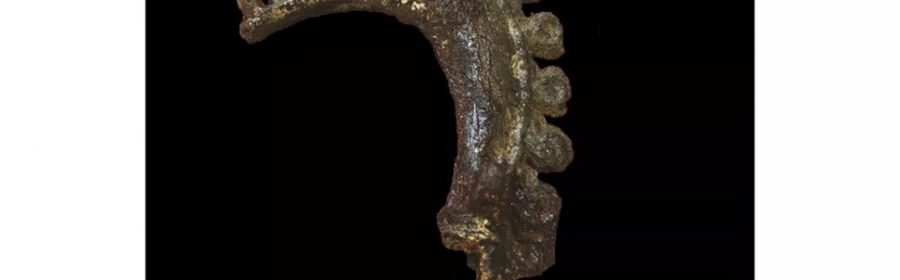 Discovery of Rare Viking Dragon Pin Solves 130-Year-Old Mystery