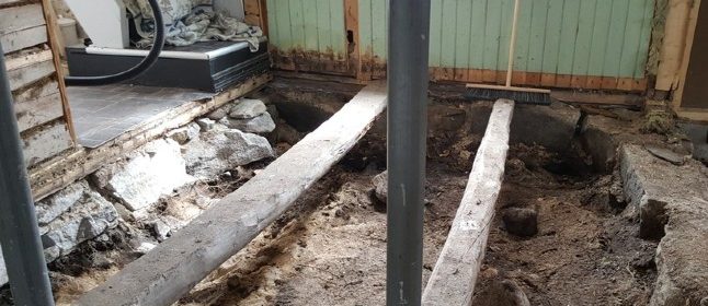 Norway couple find Viking grave under floor of their house