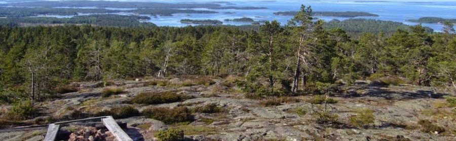Possible Viking Settlement In The Ålands Found