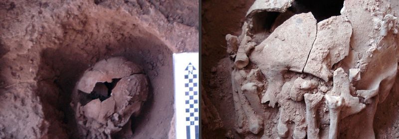 More than 9,000-year-old decapitated head discovered in Brazil