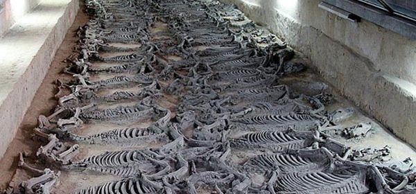 Excavations Launched at the Tomb of Duke Jing of Qi and his 600 Sacrificial Horses