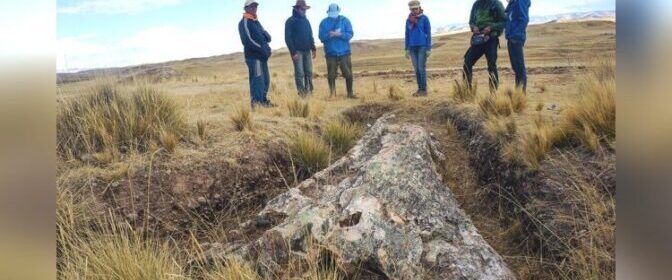 The Giant 10-Million-Year-Old Fossil Tree in Peru Reveals Surprises About Ancient History