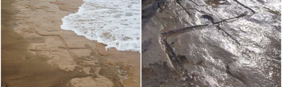 Hawaii's shifting sands reveal petroglyphs that may have been carved by aboriginal settlers