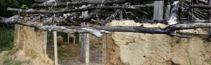 Grave robbers nearly destroyed one of Oklahoma's most precious archaeological sites