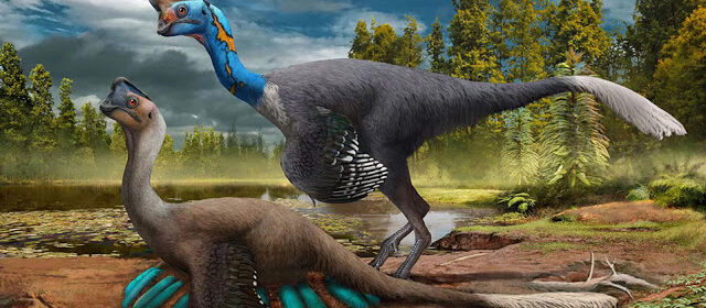 Researchers Make Extraordinary Discovery Of Fossilized Dinosaur Sitting On Egg-Filled Nest