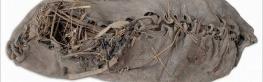 World's oldest leather shoe found in Armenian cave