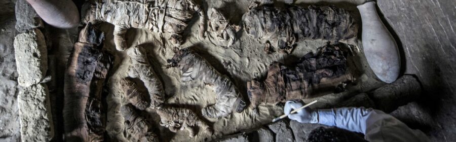 Massive hoard of mummified cats and other animals found in ancient Egyptian tombs