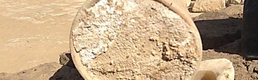 World's oldest cheese found in 3,000-year-old Egyptian tomb