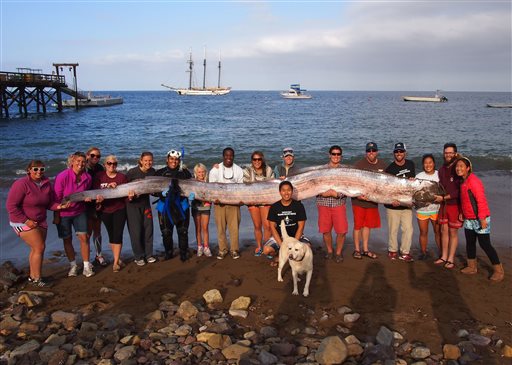 Five-meter sea creature found off the California coast