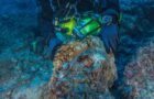 Missing Head of Hercules Found Inside 2,000-Year-Old Shipwreck in the Mediterranean Sea