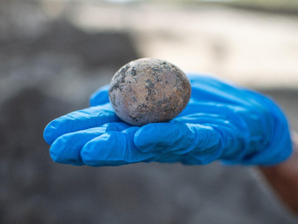 Archaeologists Discover and Crack an Intact, 1,000-Year-Old Chicken Egg