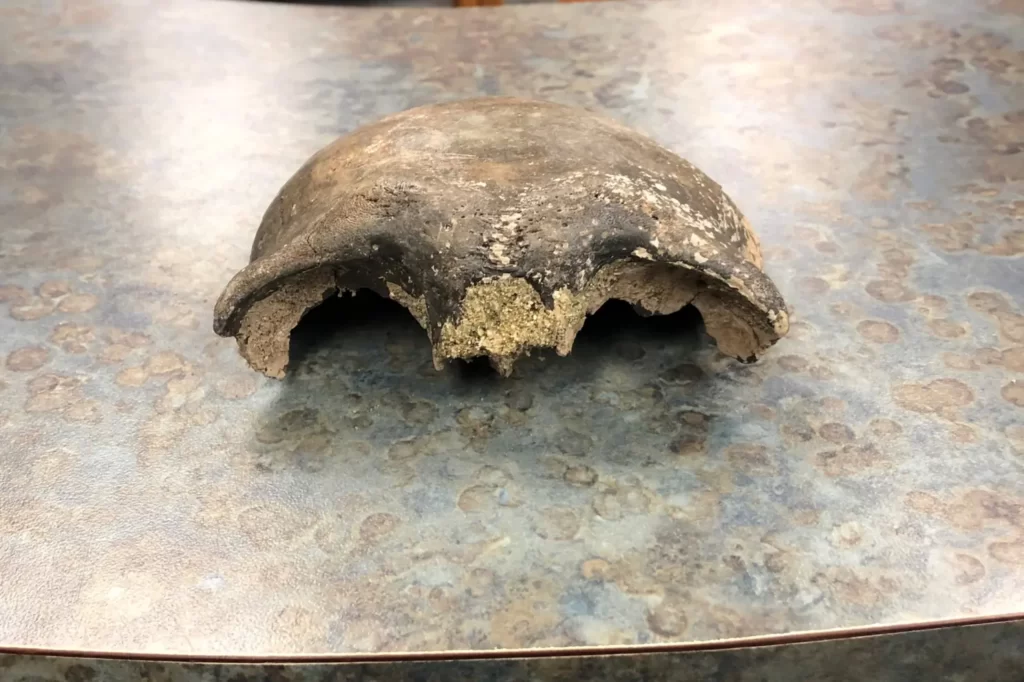 Kayakers find an 8,000-year-old human skull in Minnesota