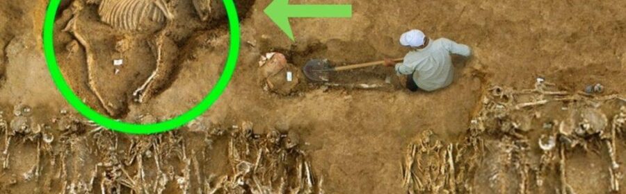 A Horse Skeleton Reveals the Hidden Death of 54 Ancient Soldier Corpses
