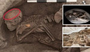9,000-Year-Old Skeletons Painted in Different Colours Found Buried Them in Their Homes
